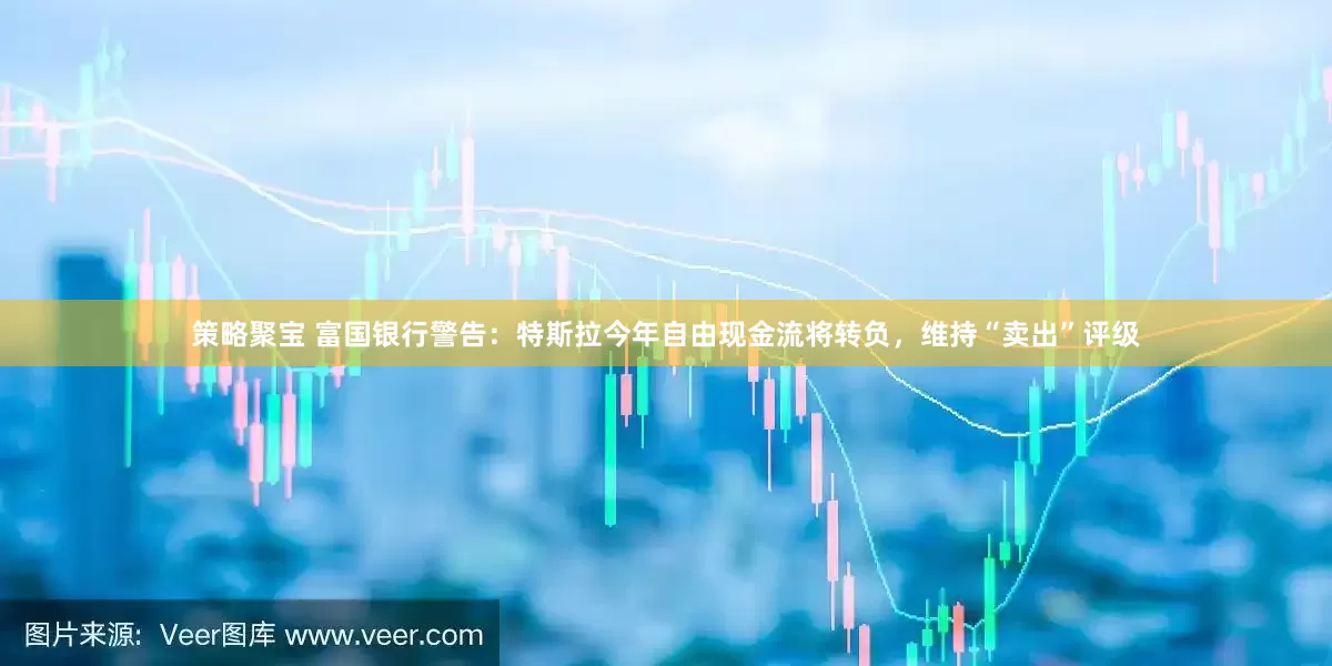 策略聚宝 富国银行警告：特斯拉今年自由现金流将转负，维持“卖出”评级