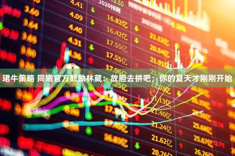 珺牛策略 同曦官方鼓励林葳：放胆去拼吧；你的夏天才刚刚开始