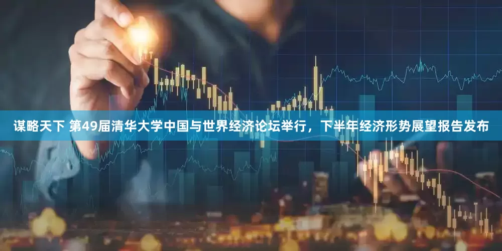 谋略天下 第49届清华大学中国与世界经济论坛举行，下半年经济形势展望报告发布