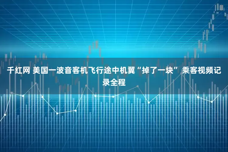 千红网 美国一波音客机飞行途中机翼“掉了一块” 乘客视频记录全程