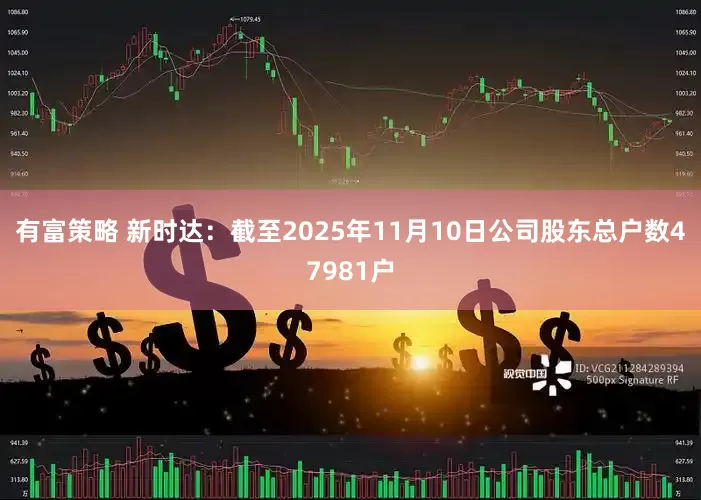 有富策略 新时达：截至2025年11月10日公司股东总户数47981户