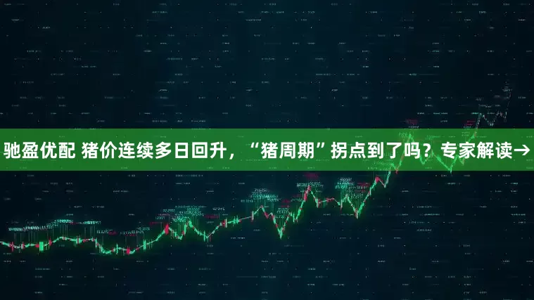 驰盈优配 猪价连续多日回升，“猪周期”拐点到了吗？专家解读→